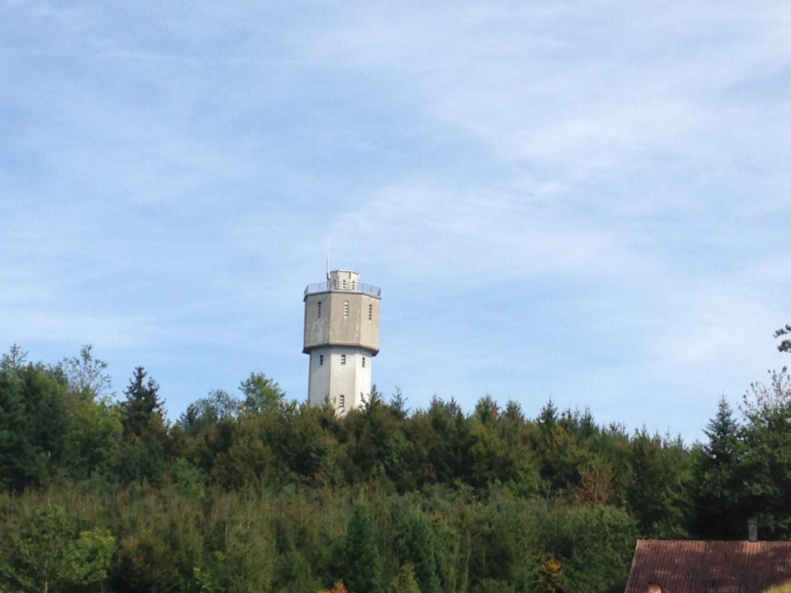 Bild (43)